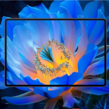 HUAWEI MateBook Pro 平板电脑