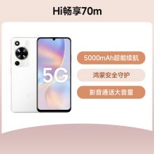 Hi 畅享70M 5G全网通