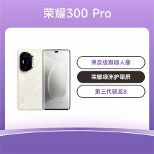 荣耀300 Pro 全网通手机