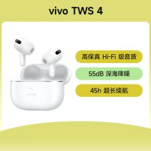 vivo TWS 4真无线降噪耳机